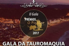  TRIUNFADORES PICADOR 2017 